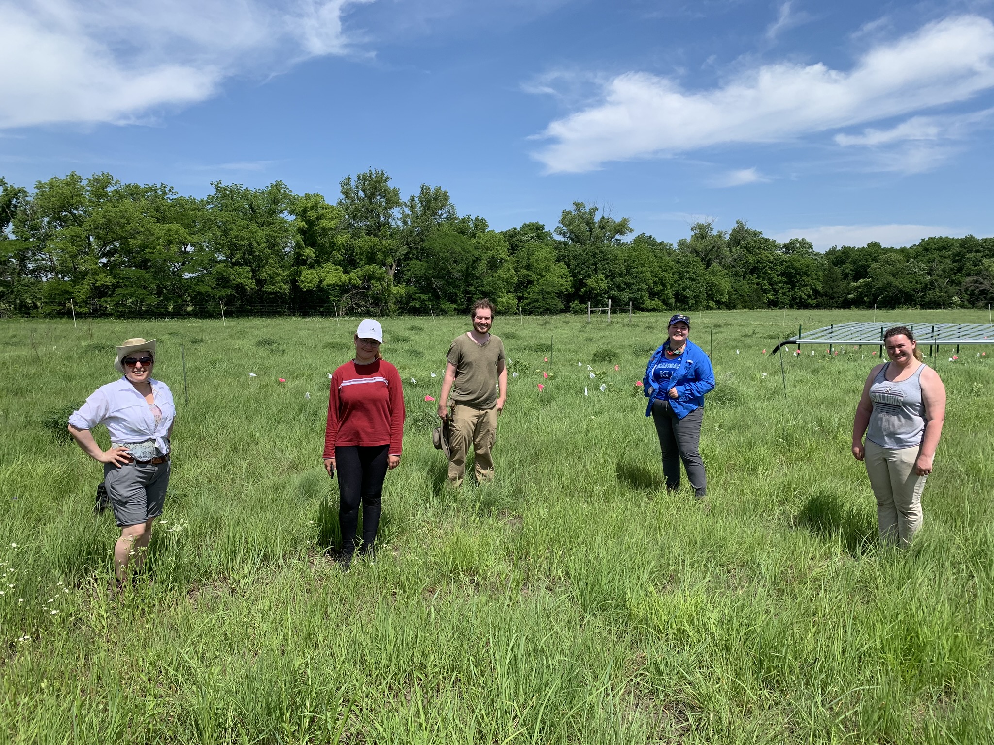 Baer Ecology Laboratory | Baer Ecology Laboratory