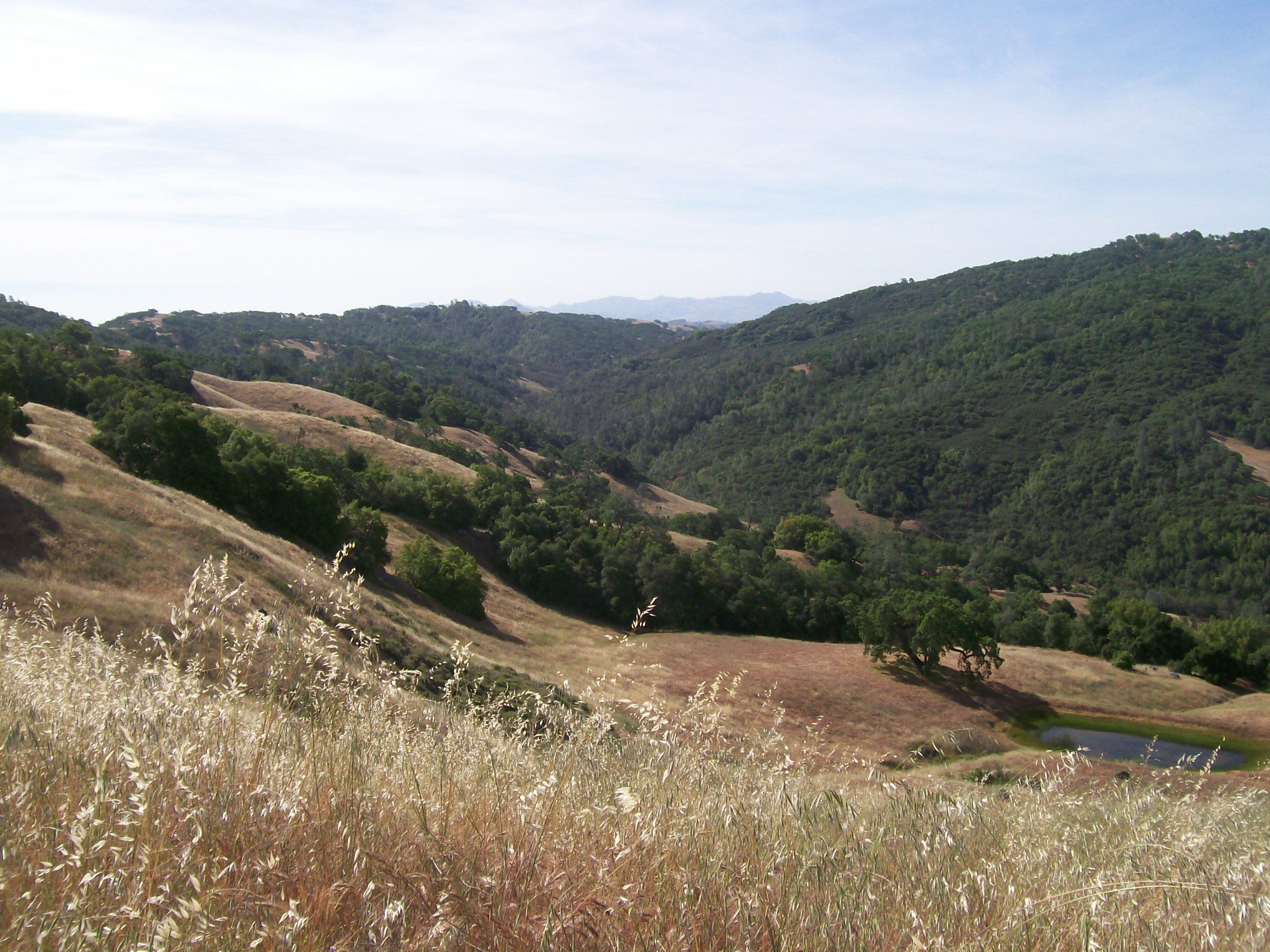 Comparison of ecosystem recovery during C4-grassland